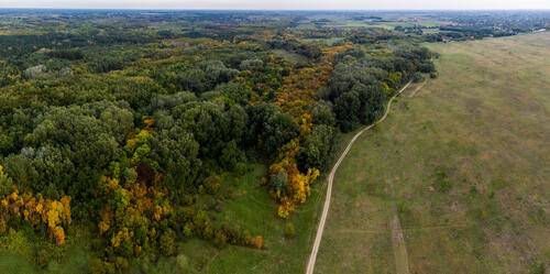 Autumn colors 3